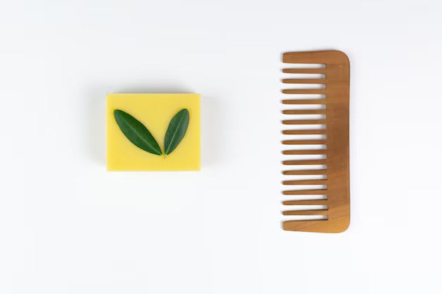 Neem Combs vs. Plastic Combs: Making a Sustainable Switch