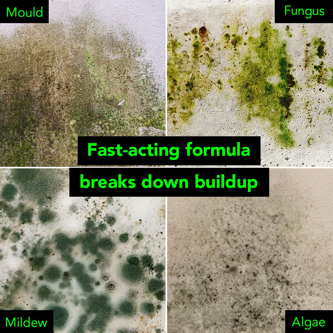Mould & Fungus Cleaner