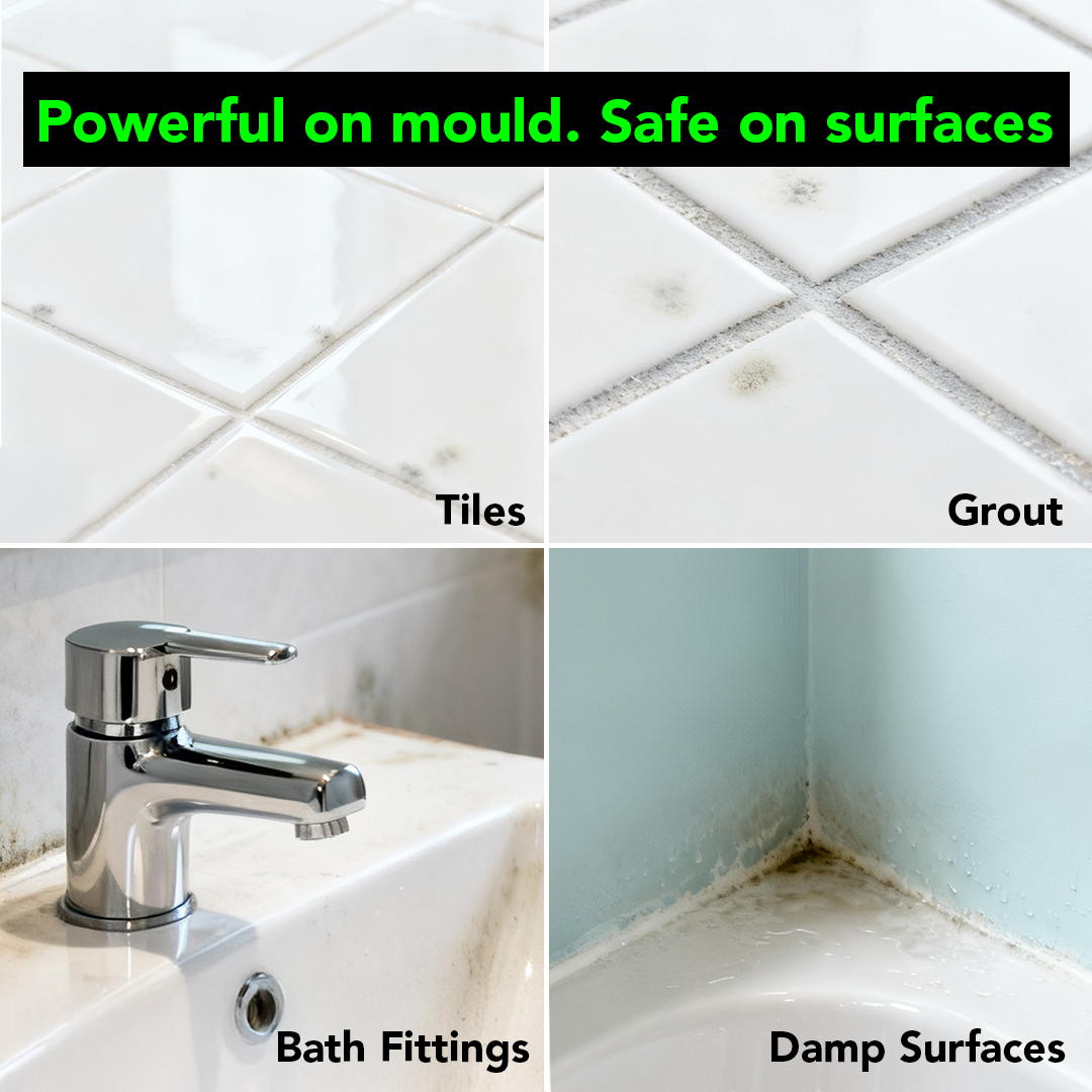 Mould & Fungus Cleaner