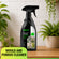 Mould & Fungus Cleaner