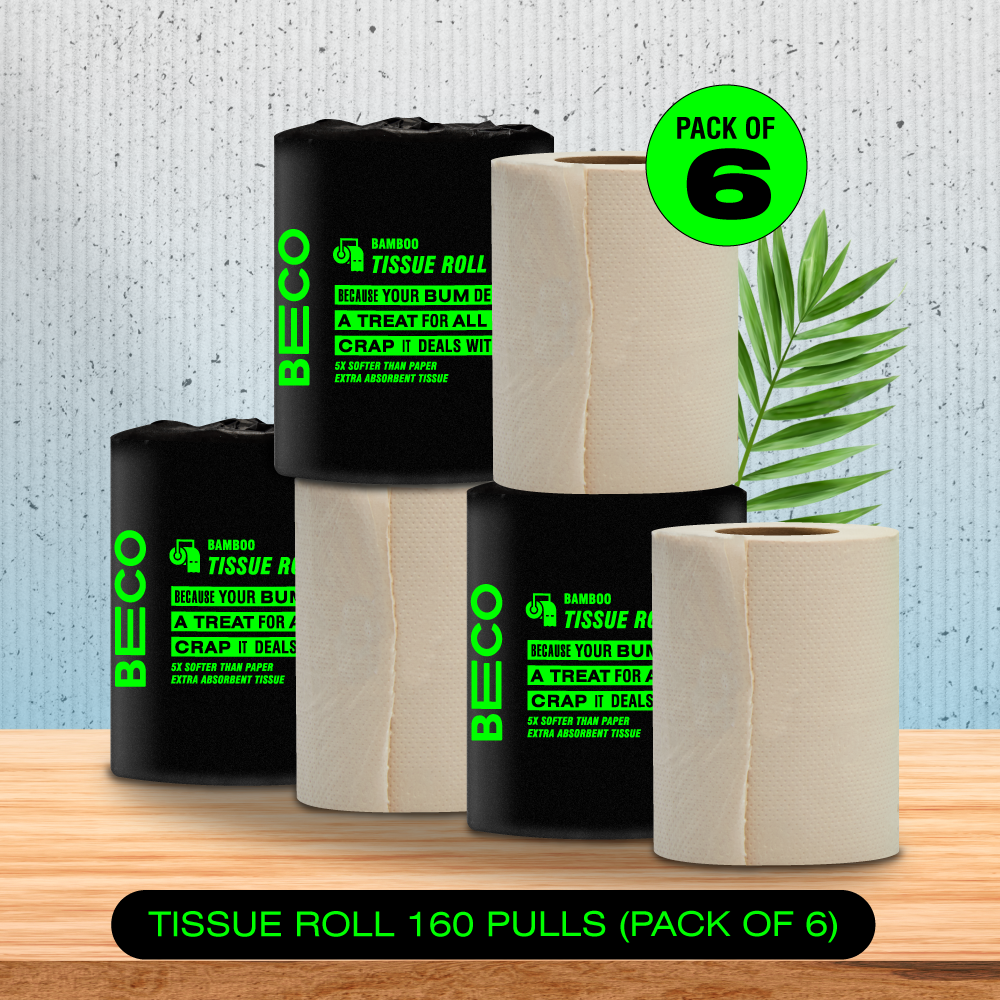 Bamboo Toilet Paper - 160 pulls | Pack of 6_