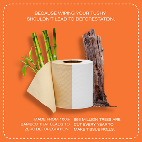 Bamboo Toilet Paper - 160 pulls | Pack of 6_