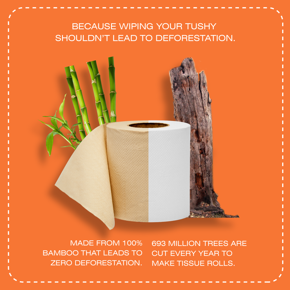 Bamboo Toilet Paper - 220 pulls | Pack of 12_EMP