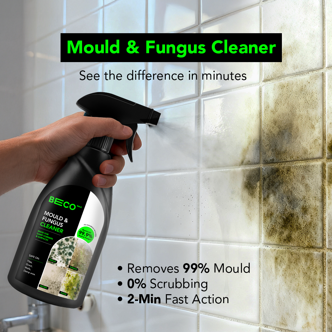 Mould & Fungus Cleaner