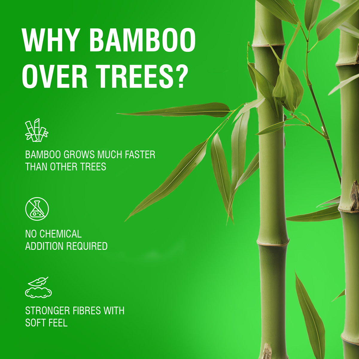 Reusable Bamboo Kitchen Towel - 20 Sheets_