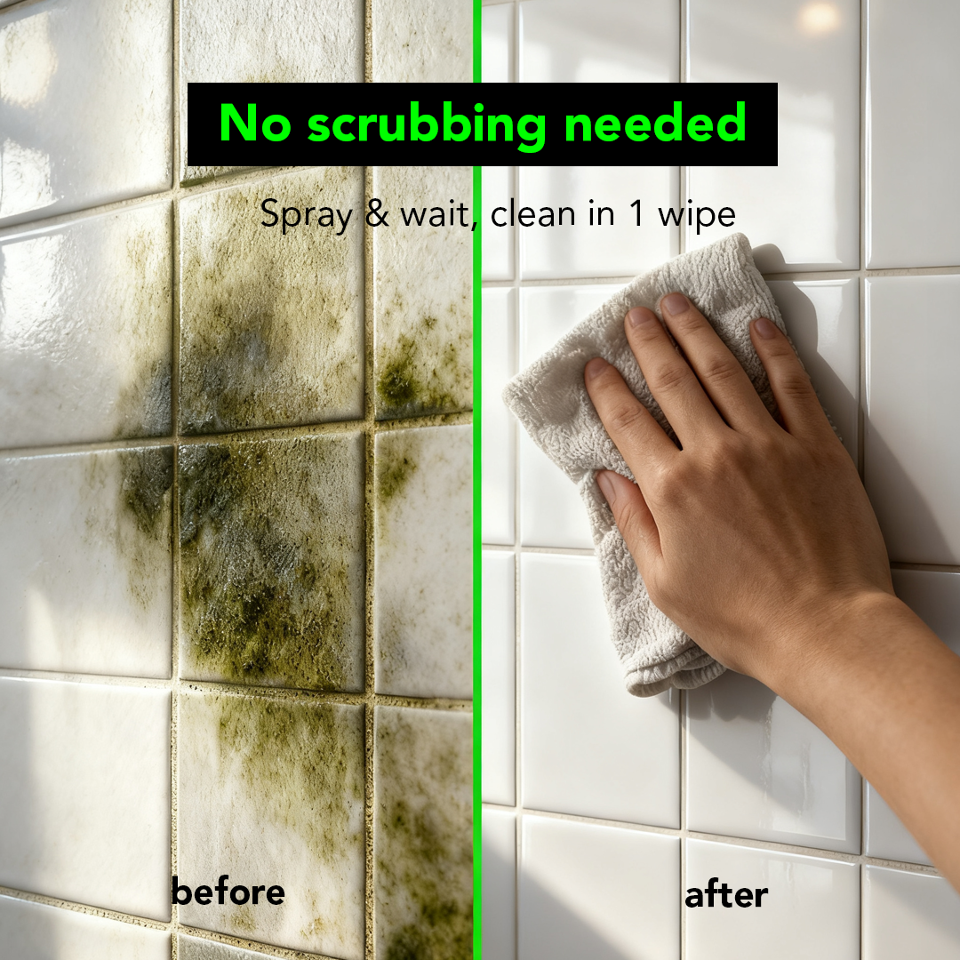 Mould & Fungus Cleaner