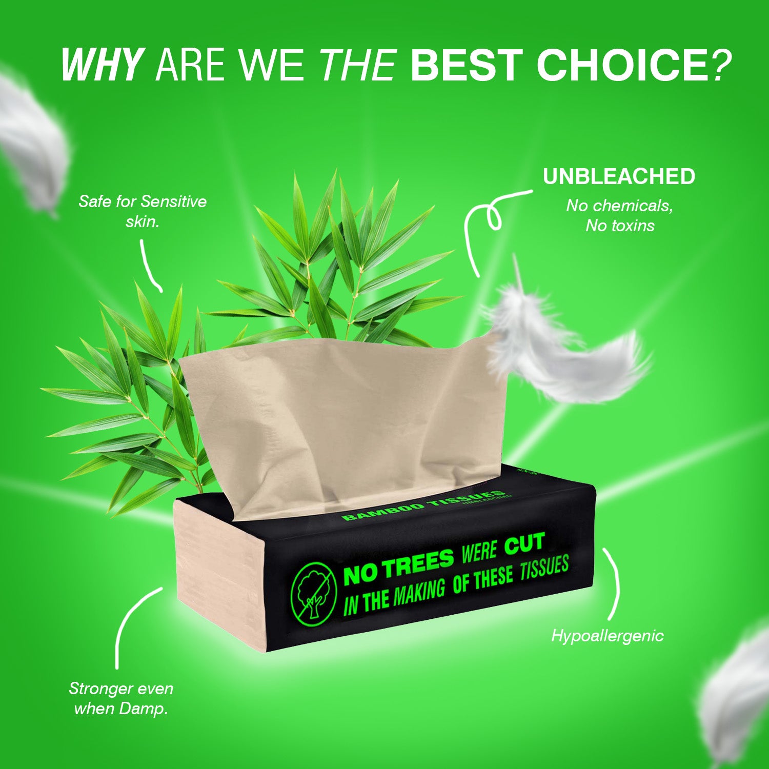 Bamboo Facial Tissues - 100 pulls | Pack of 6