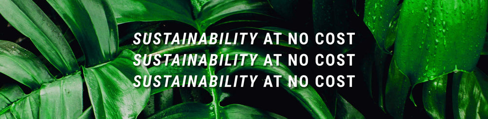 Sustainability At No Cost | Beco